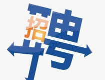 青岛本地招聘网站,本地企业职位速递，求职者的就业指南