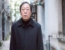 倪大红演过的电视剧,一部电视剧见证的演艺生涯